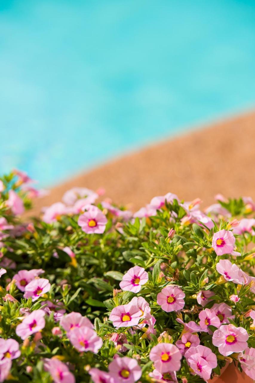 Neikos Mediterraneo Luxury Suites ハニオティス エクステリア 写真